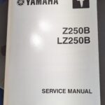 Yamaha Outboard Service Manual 2002 Z250B, LZ250B:  LIT-18616-02-43